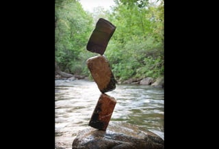 Gravedad y equilibrio