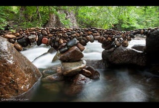 Gravedad y equilibrio