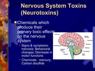 Nervous System Toxins
(Neurotoxins)
 Chemicals which
produce their
primary toxic effects
on the nervous
system
 Signs & symptoms:
narcosis; Behavioral
changes; Decrease in
motor functions
 Chemicals: mercury;
Carbon disulfide
 