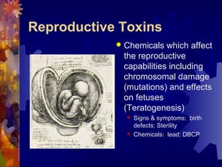 Reproductive Toxins
 Chemicals which affect
the reproductive
capabilities including
chromosomal damage
(mutations) and effects
on fetuses
(Teratogenesis)
 Signs & symptoms: birth
defects; Sterility
 Chemicals: lead; DBCP
 
