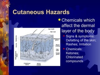 Cutaneous Hazards
 Chemicals which
affect the dermal
layer of the body
 Signs & symptoms:
Defatting of the skin;
Rashes; Irritation
 Chemicals:
Ketones;
Chlorinated
compounds
 