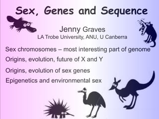 Sex, Genes and Sequence
Sex chromosomes – most interesting part of genome
Origins, evolution, future of X and Y
Epigenetics and environmental sex
Origins, evolution of sex genes
Jenny Graves
LA Trobe University, ANU, U Canberra
 