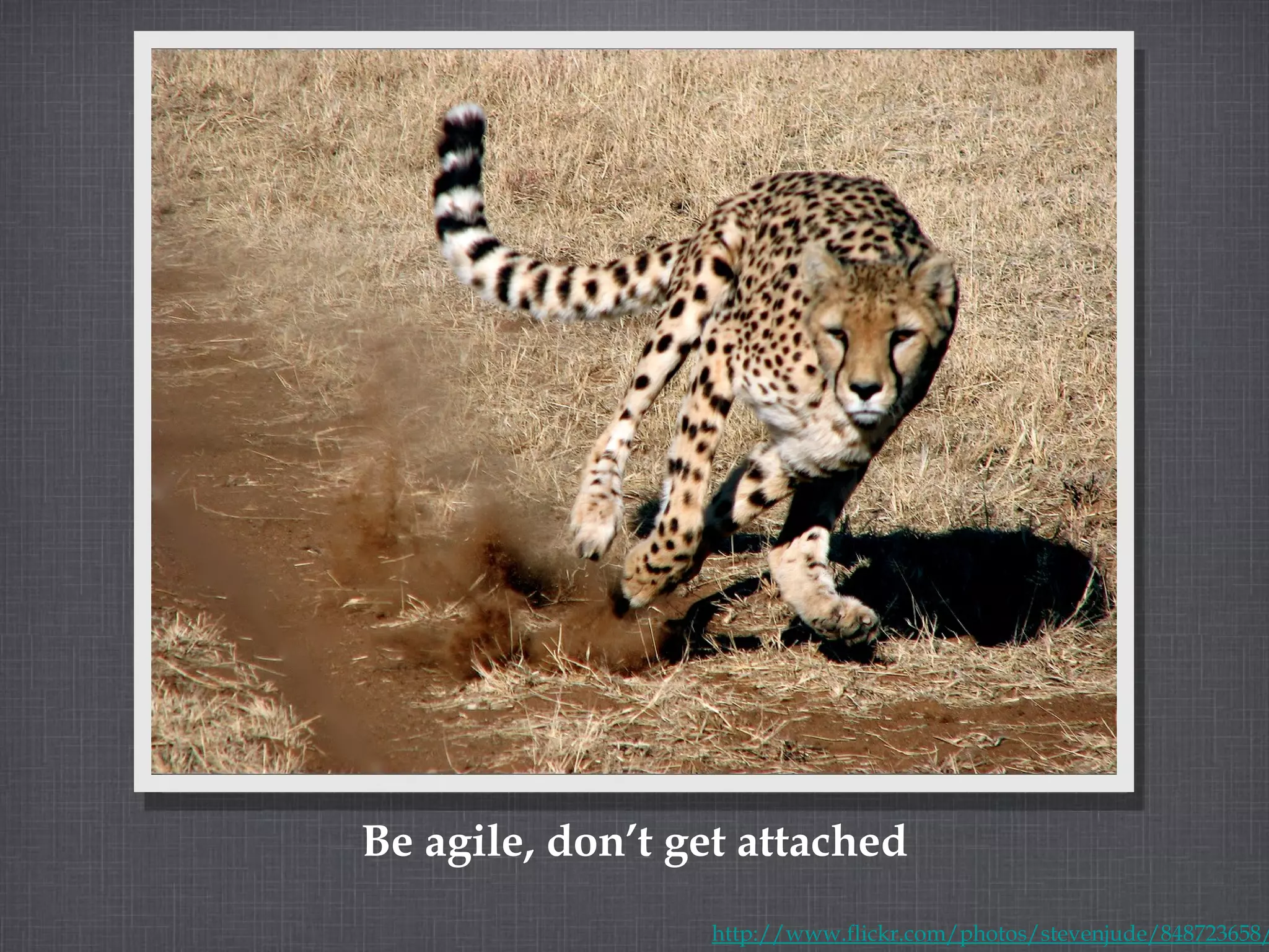 Be agile, don’t get attached http://www.flickr.com/photos/stevenjude/848723658/ 