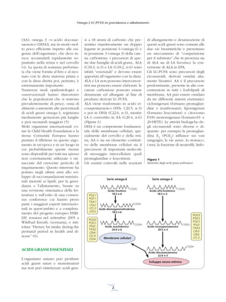 L'importanza degli acidi grassi Omega 3 in gravidanza ed allattamento