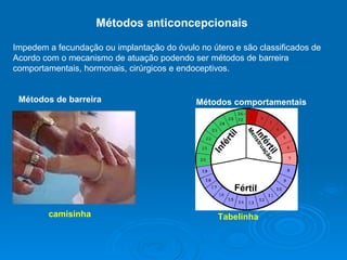 Métodos anticoncepcionais  Impedem a fecundação ou implantação do óvulo no útero e são classificados de  Acordo com o mecanismo de atuação podendo ser métodos de barreira comportamentais, hormonais, cirúrgicos e endoceptivos.  Métodos de barreira camisinha Métodos comportamentais  Tabelinha 