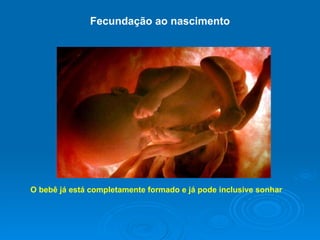 Fecundação ao nascimento O bebê já está completamente formado e já pode inclusive sonhar 