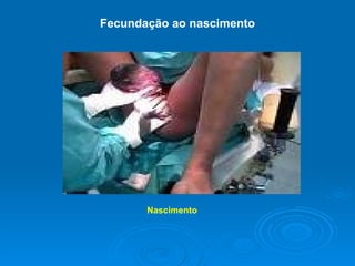 Fecundação ao nascimento Nascimento   