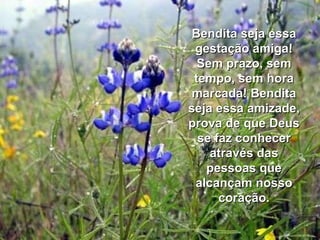 Bendita seja essa gestação amiga! Sem prazo, sem tempo, sem hora marcada! Bendita seja essa amizade, prova de que Deus se faz conhecer através das pessoas que alcançam nosso coração. 