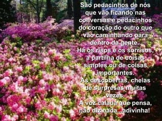 São pedacinhos de nós que vão ficando nas conversas e pedacinhos do coração do outro que vão caminhando para dentro da gente.  Há os risos e os sorrisos, a partilha de coisas simples ou de coisas importantes. As descobertas, cheias de surpresas muitas vezes. A voz calada que pensa, não diz nada...adivinha!  