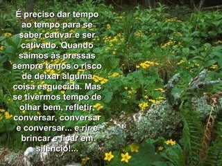 É preciso dar tempo ao tempo para se saber cativar e ser cativado. Quando saímos às pressas sempre temos o risco de deixar alguma coisa esquecida. Mas se tivermos tempo de olhar bem, refletir, conversar, conversar e conversar... e rir e brincar e ficar em silêncio!... 