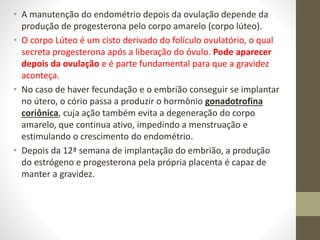 • A manutenção do endométrio depois da ovulação depende da
produção de progesterona pelo corpo amarelo (corpo lúteo).
• O corpo Lúteo é um cisto derivado do folículo ovulatório, o qual
secreta progesterona após a liberação do óvulo. Pode aparecer
depois da ovulação e é parte fundamental para que a gravidez
aconteça.
• No caso de haver fecundação e o embrião conseguir se implantar
no útero, o cório passa a produzir o hormônio gonadotrofina
coriônica, cuja ação também evita a degeneração do corpo
amarelo, que continua ativo, impedindo a menstruação e
estimulando o crescimento do endométrio.
• Depois da 12ª semana de implantação do embrião, a produção
do estrógeno e progesterona pela própria placenta é capaz de
manter a gravidez.
 