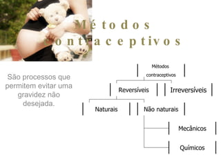 Métodos contraceptivos São processos que permitem evitar uma gravidez não desejada. Métodos  contraceptivos Reversíveis Irreversíveis Naturais Não naturais Mecânicos Químicos 