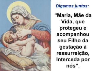 “ Maria, Mãe da Vida, que protegeu e acompanhou seu Filho da gestação à ressurreição, Interceda por nós”. Digamos juntos: 