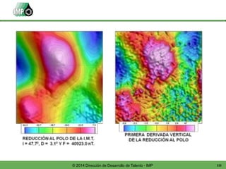 112© 2014 Dirección de Desarrollo de Talento - IMP
 