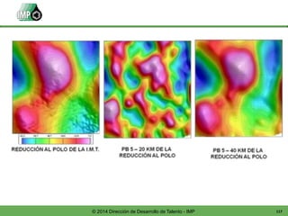 117© 2014 Dirección de Desarrollo de Talento - IMP
 