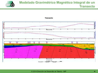 89© 2014 Dirección de Desarrollo de Talento - IMP
Modelado Gravimétrico Magnético Integral de un
Transecto
 