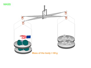 50 g 10 g
50 g 10 g
Mass of the body = 60 g
MASS
 