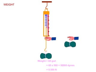 Weight = 60 gwt
= 60 x 980 = 58800 dynes
= 0.588 N
0
20
40
60
80
100
WEIGHT
 