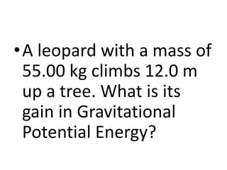 •A leopard with a mass of
55.00 kg climbs 12.0 m
up a tree. What is its
gain in Gravitational
Potential Energy?
 