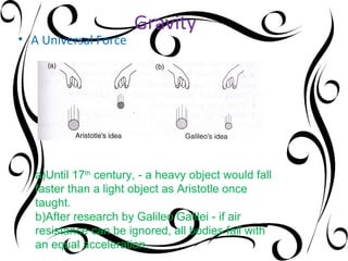 Gravity
• A Universal Force




   a)Until 17th century, - a heavy object would fall
   faster than a light object as Aristotle once
   taught.
   b)After research by Galileo Galilei - if air
   resistance can be ignored, all bodies fall with
   an equal acceleration.
 