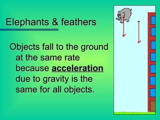Elephants & feathers Objects fall to the ground at the same rate because  acceleration  due to gravity is the same for all objects. 