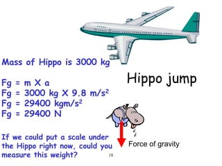 18
Force of gravity
Mass of Hippo is 3000 kg
Fg = m X a
Fg = 3000 kg X 9.8 m/s2
Fg = 29400 kgm/s2
Fg = 29400 N
If we could put a scale under
the Hippo right now, could you
measure this weight?
Hippo jump
 
