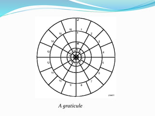 A graticule
 
