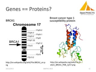 Genes == Proteins?
BRCA1

Breast cancer type 1
susceptibility protein

http://en.wikipedia.org/wiki/File:BRCA1_en.p
ng

http://en.wikipedia.org/wiki/File:Pr
otein_BRCA1_PDB_1jm7.png

10/12/2013

SWAT4LS 2013

12

 