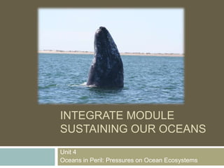 INTEGRATE MODULE
SUSTAINING OUR OCEANS
Unit 4
Oceans in Peril: Pressures on Ocean Ecosystems
 