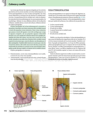 Gray anatomia para_estudiantes_3_opt