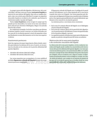 Conceptos generales • Aspectos clave
La sangre venosadel tubo digestivo, delpáncreas, dela vesí­
cula biliar y delbazo entra porla gran v en a p o rta h e p á tica a
través de la cara inferior del hígado. Esta vena se ramifica des­
pués como una arteria para distribuir la sangre en pequeños
sinusoides hepáticos recubiertos de endotelio, que forman la
red de intercambio vascular del hígado.
Varias v en as h e p á tica s cortas recogen la sangre que ha
pasado por los sinusoides y la vacían en la vena cava inferior
justo antes de que atraviese el diafragma y llegue a la aurícula
derecha del corazón.
En condiciones normales, los lechos vasculares que drenan
el sistema hepático portal conectan con lechos drenados por
los vasos de la circulación general a través de pequeñas venas
quefinalmente seunen directamente con la vena cava superior
o inferior.
Anastomosis portocava
Entre las regiones de mayor importancia clínica donde coinci­
den parcialmente los sistemas de la cava y la porta, se encuen­
tran las situadas en los extremos de la porción abdominal del
aparato digestivo:
■ Alrededor del extremo distal del esófago.
■ Alrededor del extremo distal del recto.
Las venas pequeñas que acompañan a la vena umbilical
atrofiada (ligam en to redondo del hígado) formanotra anas­
tomosis portocava importante.
El ligamento redondo del hígado une el ombligo de la pared
anterior del abdomen con la rama izquierda de la vena porta
cuando ésta entra en el hígado. Las venas pequeñas que dis­
currenporesteligamentoformanunaconexión entre el sistema
porta y las regiones paraumbilicales dela pared abdominal, que
drenan en las venas de la circulación general.
Los sistemas porta y cava tienen otras conexiones:
■ En la zona de contacto directo del hígado con el diafragma
(el área desnuda del hígado).
■ En la zona de contacto directo de la pareddel tubo digestivo
con la paredposterior del abdomen (zonas retroperitoneales
de los intestinos delgado y grueso).
■ La superficieposterior delpáncreas (gran parte delpáncreas
queda en posición retroperitoneal de forma secundaria).
Obstrucción de la vena porta hepática
o de conductos vasculares del hígado
La obstrucción dela vena porta hepática o delos conductos vas­
culares del hígado puede cambiar las características del retorno
venosodelaporciónabdominaldelaparatodigestivo.Losvasosque
conectanlossistemasportaycavaaumentandecalibreysevuelven
tortuosos, lasangredelasvenastributariasdelaportaevitaelpaso
porel hígado, entraen el sistemacavay llega al corazón. Lahiper­
tensiónportalpuedeproducirvaricesesofágicasyrectales,asícomo
«lacabezademedusa», queconsisteenun aumentodetamañode
losvasos dela circulación general que seirradian desdelas venas
paraumbilicales, volviéndosevisiblesenla pareddelabdomen.
 
