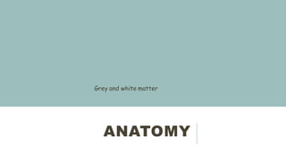 ANATOMY
Grey and white matter
 