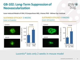 64CONFIDENTIALAND PROPRIETARY |
MeanAreaofCNV(mm2)
Control
(PBS)
GB-102
(10ug)
0
0.012
0.008
0.004
0.016
P<0.05
GB-102: Long-Term Suppressionof
Neovascularization
Laser-Induced Model of CNV; P.Campochiaro MD, J.Hanes PhD - Wilmer Eye Institute
SUSTAINED EFFICACY: 5 WEEKS
(Laser at 4 weeks)
SUSTAINED EFFICACY: 9 WEEKS
(Laser at 8 weeks)
P<0.05
MeanAreaofCNV(mm2)
GB-102 Control
(10 ug) (PBS)
0
0.01
0.02
0.03
Control
GB102
Lucentis® lasts only 2 weeks in mouse model
Control
GB102
 