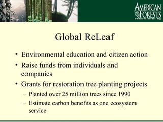 Advancing a Reforestation Project Under the CCAR | PPT | Environmental ...