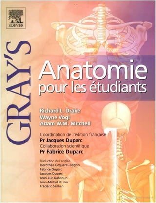 Grays anatomie