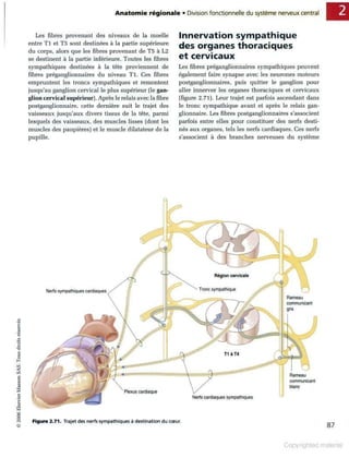 Grays anatomie