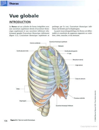 Grays anatomie