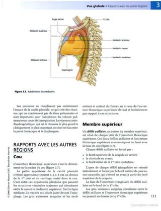 Grays anatomie