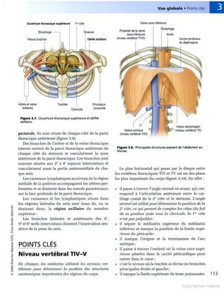 Grays anatomie