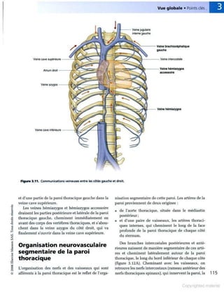 Grays anatomie