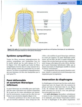 Grays anatomie