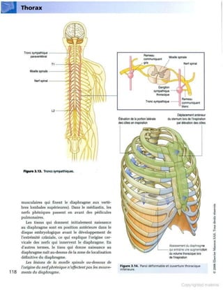 Grays anatomie