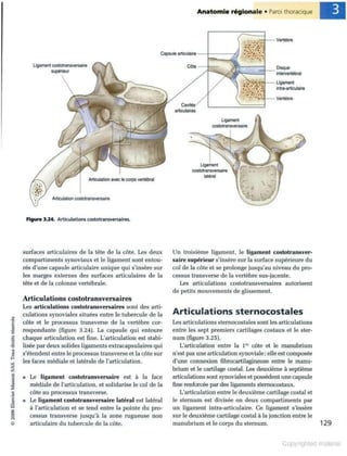 Grays anatomie