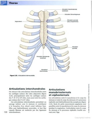 Grays anatomie