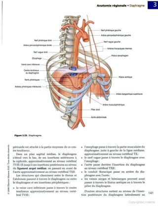 Grays anatomie