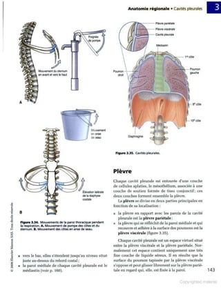 Grays anatomie