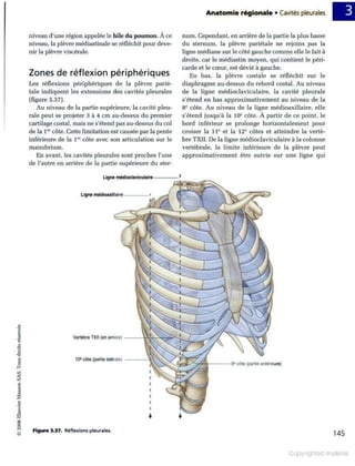 Grays anatomie