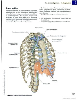 Grays anatomie