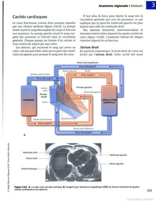 Grays anatomie