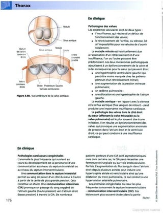 Grays anatomie